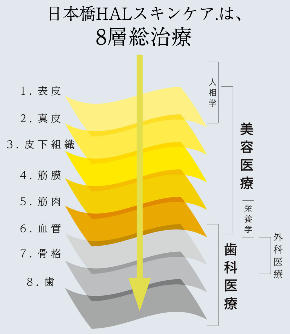 日本橋HALスキンケアは8層総治療