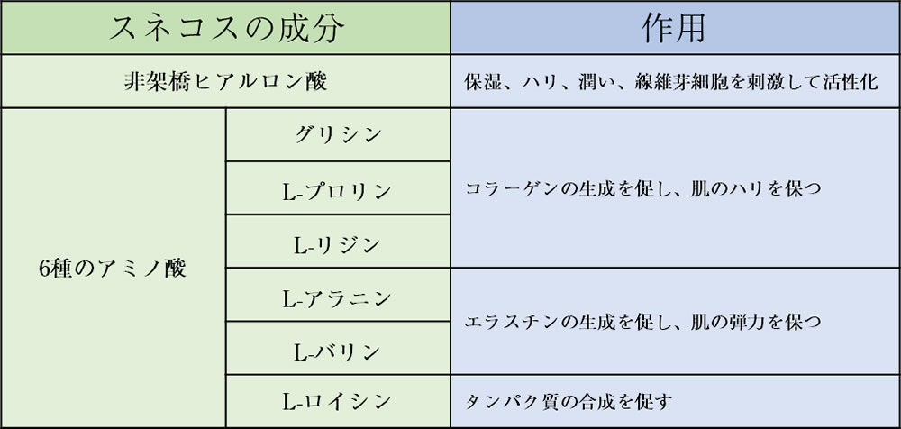 スネコス注射成分